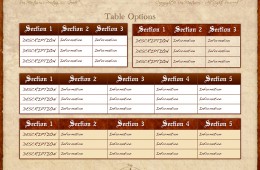 Custom eBook Template Table Options Page